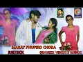 Download Lagu MARAY PHUPIRO CHORA BANJARA NEW JUKEBOX QVIDEOS