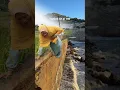 Lagu Di luar expektasi #tebingjurang #ombak #trending #funny #editing