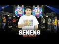 Download Lagu DELVA IRAWAN - SENENG | Feat. OM SERA ( Official Music Video )