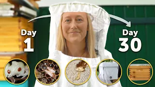 YOUR FIRST MONTH AS A BEEKEEPER Feeding Transporting Caring for Your Bees