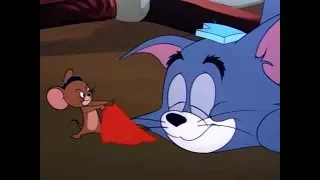 Tom And Jerry Mucho Mouse 