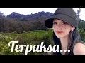 Download Lagu DJ DANGDUT TREMIX HOUSE SLOW BAZZZ ( terpaksa ) audio jernih makyussss paling pas buat teman santai 