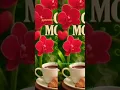 Download Lagu Maheroo Maheroo | Super Nani |  Sharman Joshi | Shweta Kumar |Shreya Ghoshal | SanjeevDarshan