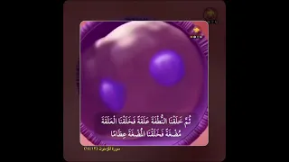 مراحل نمو الجنين 