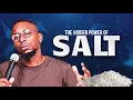 Download Lagu The hidden power of salt | Miz Mzwakhe Tancredi