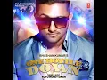 ONE BOTTLE DOWN - LIL GOLU & YO YO HONEY SINGH