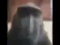 this is footage of my family get togethere i am evil lebron 8 am evel lebrong im evil lebron