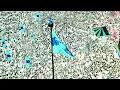 Roddy theme ft. Thalapathy Vijay 🦁⭐ | Jailer 2 | Anirudh | TVK Edit