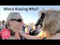 Howling at the Moon - Yuma AZ