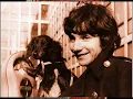Cat Stevens-How can i tell you