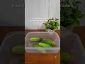 Download Lagu Cara Simpan Mentimun Biar Awet hingga Minggu Depan! 🥒✨ Trik Unik Pakai Sendok
