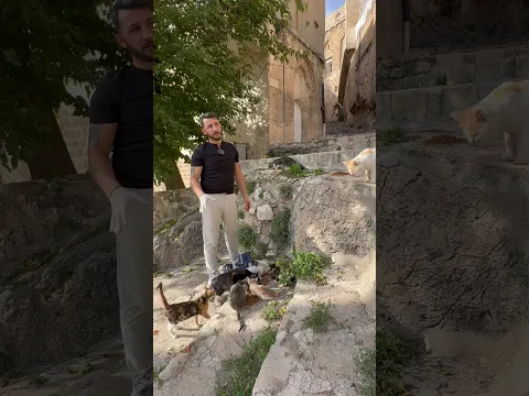 Sayfamızdaki katıl butonundan katılarak mücadelemize katkıda bulanabilirsiniz #köpek #kedi