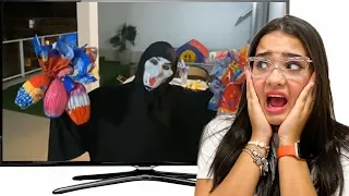 fiz uma armadilha para pegar o zap 