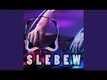 Download Lagu Slebew (Remix)
