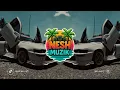 Lagu Kisi Se Tum Pyar Karo | Reggae Remix | Nesh MuziK | 2K25