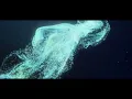 Trapcode Form Fluid Tutorial After Effects