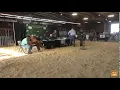 American Dorper Sheep Breeders Society Live Stream
