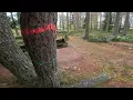 This Pine Leaned the Wrong Way… in the Worst Possible Place 🌲⚠️