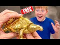 We Bought Him His Dream Turtle Emotional