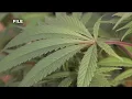Group working to expand access to medical marijuana in central Virginia