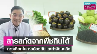 การใช้สารสกัดจากพืชกินได้มีผลต่อการป้องกันมะเร็งกลับมาเป็นซ้ำอย่างไร