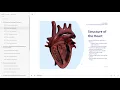 Nursing E-learning Module 4 - Interactive Healthcare Training