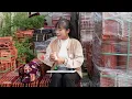 Huyen had an accident while working at a construction site—Dinh took her to the hospital.