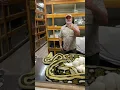 Giant Python Bit Me in the Face full on my channel