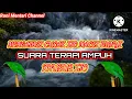 Download Lagu Suara terapi cucak ijo macet bunyi drop mental sangat ampuh untuk pemulihan