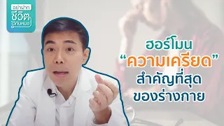 ฮอร์โมนความเครียดมีหน้าที่อะไรบ้างในร่างกาย