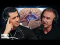 We Have This ALL WRONG - Biohacker Gary Brecka BREAKS DOWN The Truth About Addiction