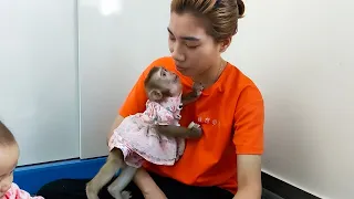 Monkey Kaka kisses Mom, showing  love for mom.
