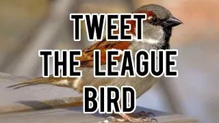 تغريد طائر الدوري الكحالي نقي ومضمون 