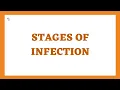 Stages of Infection or Disease in Microbiology Incubation prodromal Illness and Convalescence