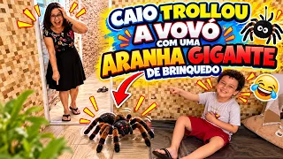 Apareceu uma ARANHA GIGANTE na casa da Vovó Graça