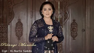 Download Langgam Pelangi Manisku Ki Narto Sabdo MP3