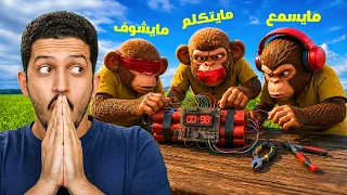 تحدي الثلاثة قرود لفك الجهاز المؤقت ( صارت هوشة ) !!