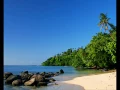 Download Lagu fijian music: TEKITEKI DAMUDAMU (seru serevi: fiji own vude king)