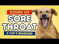 What are the signs of a sore throat in dogs or cats Top 5 Sore Throat Remedies That Work