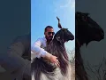 Download Lagu Keep your goats on Palai at MD Goat Farm For Season 2025