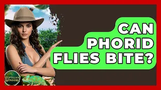 Can Phorid Flies Bite - Reptilian Wonders