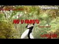 Download Lagu Noufabu'u bakha ba dodo - Karaoke Nias
