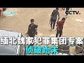 Lagu 五年建14个电诈园区！缅北魏家亲口揭露：一个盘口狂揽上亿；缅北魏家犯罪集团专案细节曝光 20251015 | CCTV中文《共同关注》