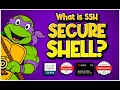 What is SSH Secure Shell CompTIA Network N10-008 Security SY0-601 A 220-1101