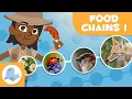 FOOD CHAINS for Kids Trophic Levels Episode 1