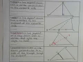 Special Triangle Segments