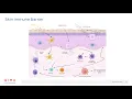 Download Lagu Skin Inflammation Research
