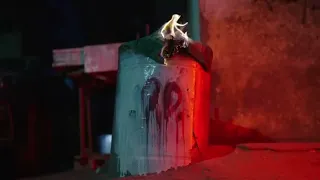                                   فليكس   فالنتين              دندنها