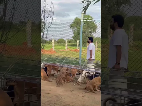 इनकी थाली भरना भी किसी पूजा से कम नहीं #paralyseddog