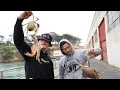 Download Lagu Fishing With The \